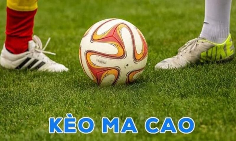 Tìm hiểu về các thông tin hai đội bóng trước khi đặt cược